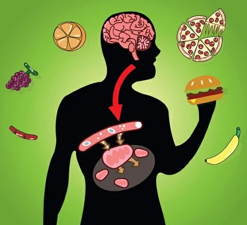 Как ускорить метаболизм