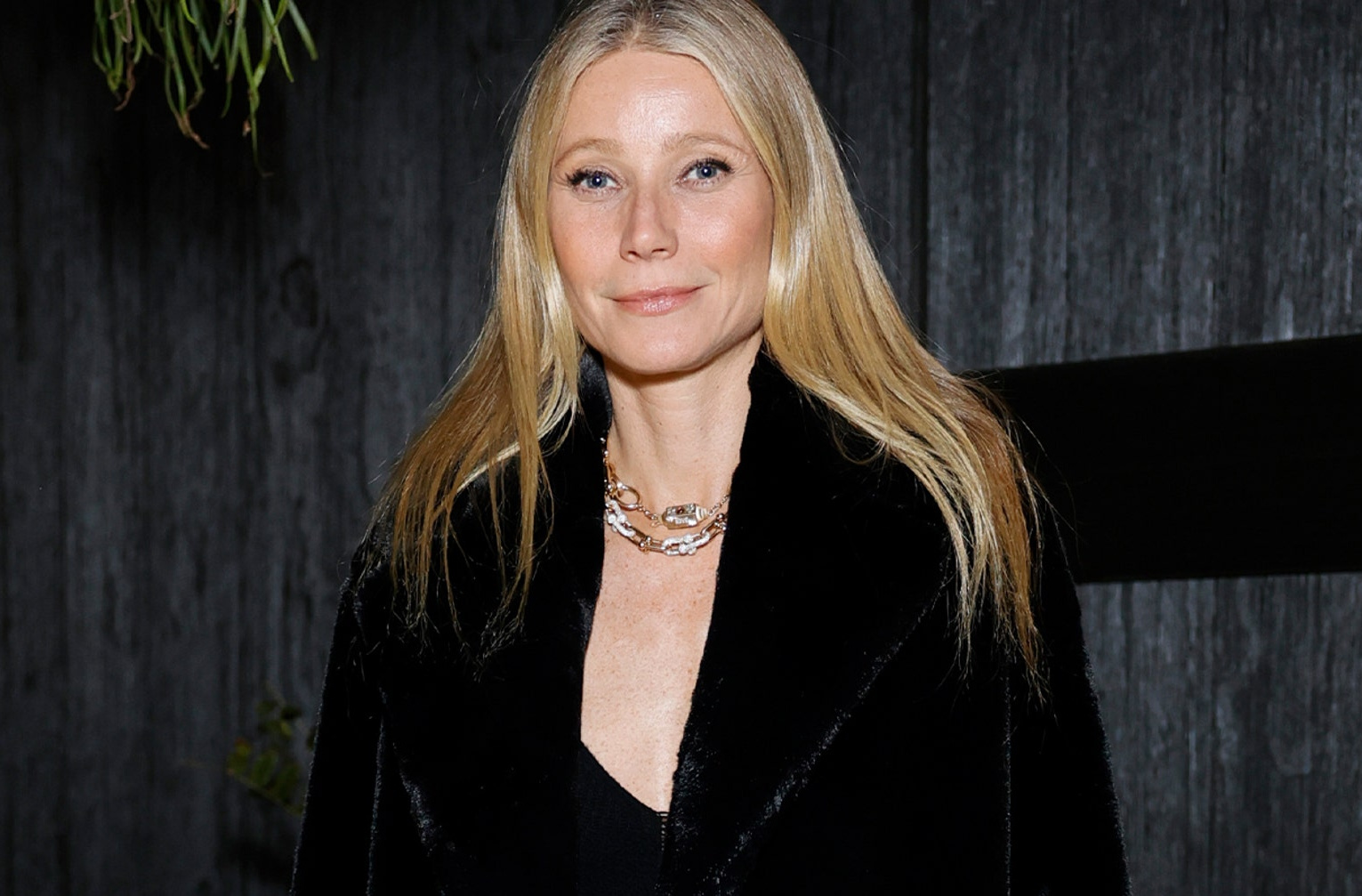 Фото: Гвинет Пэлтроу