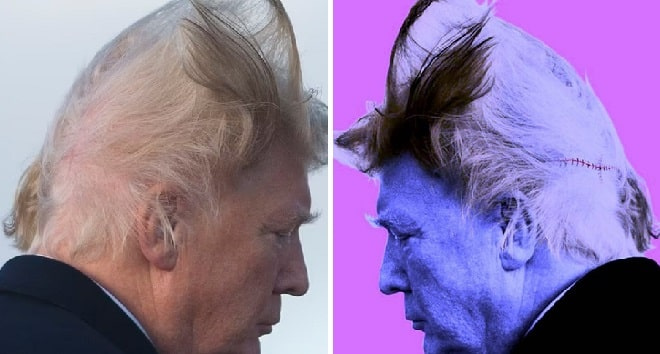 Фото: Дональд Трамп